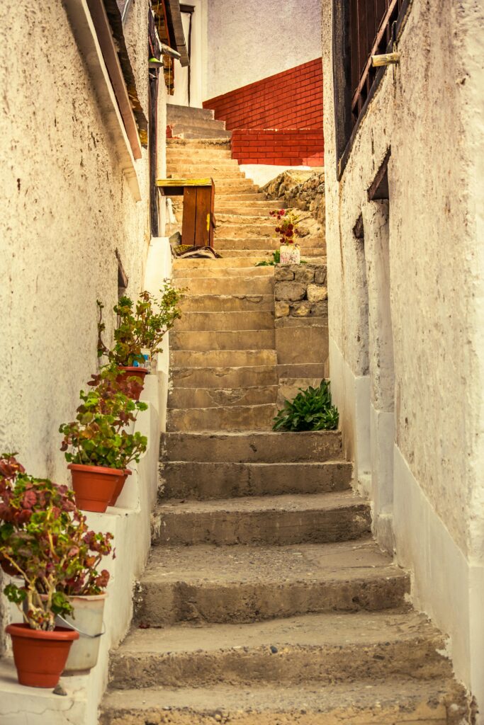 Charming narrow alley with stone steps and potted plants in Mandi, India.